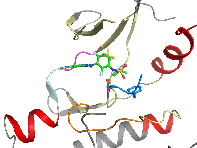 The orthosteric binding pocket