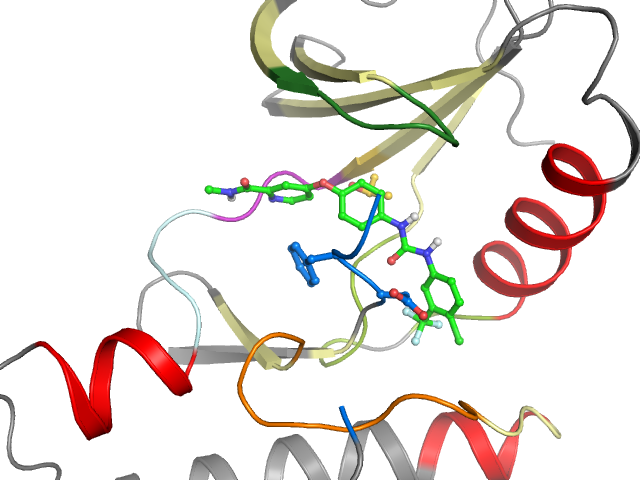 The orthosteric binding pocket