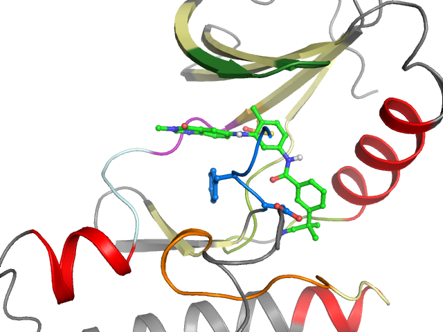 The orthosteric binding pocket