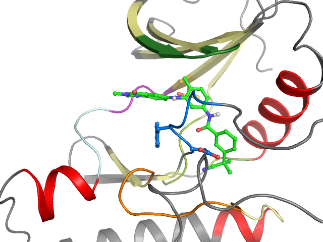 The orthosteric binding pocket