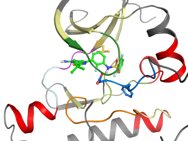 The orthosteric binding pocket