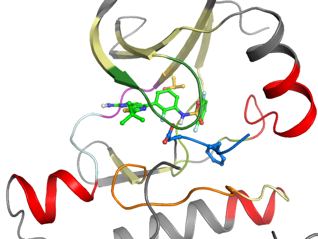 The orthosteric binding pocket