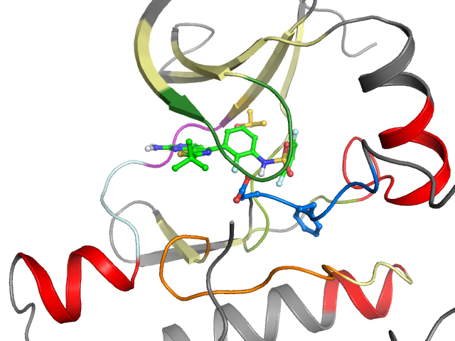 The orthosteric binding pocket