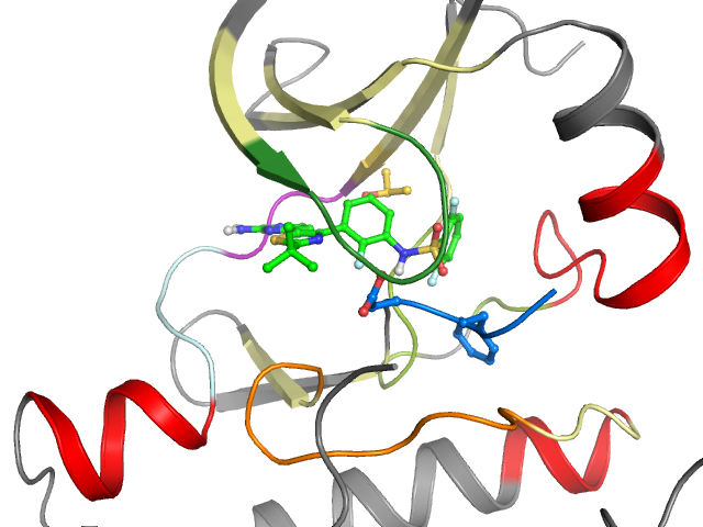 The orthosteric binding pocket
