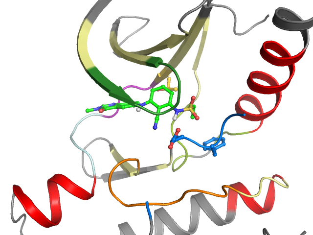 The orthosteric binding pocket