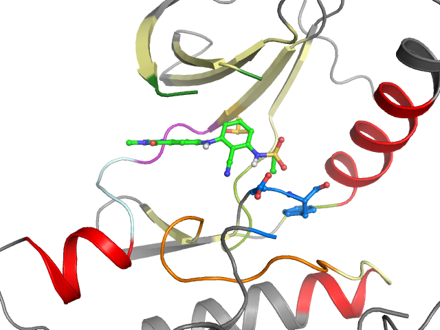 The orthosteric binding pocket