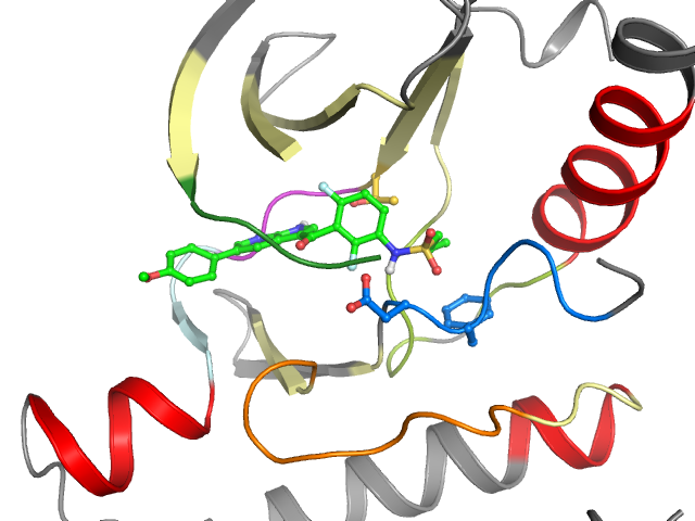 The orthosteric binding pocket