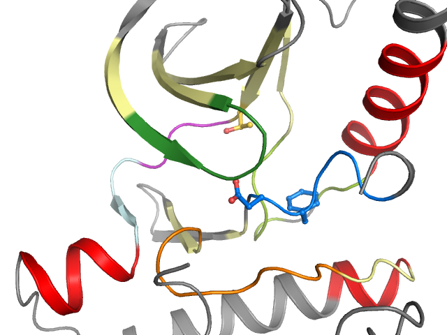 The orthosteric binding pocket