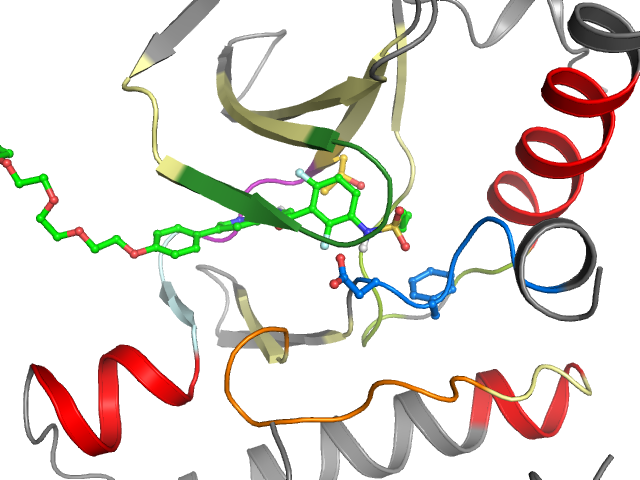 The orthosteric binding pocket