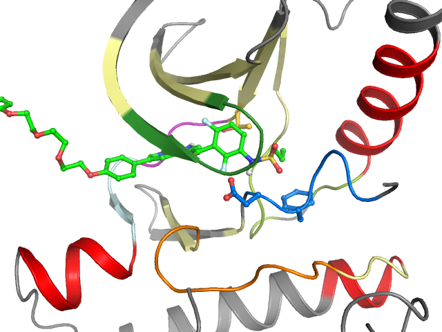 The orthosteric binding pocket