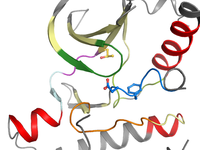 The orthosteric binding pocket