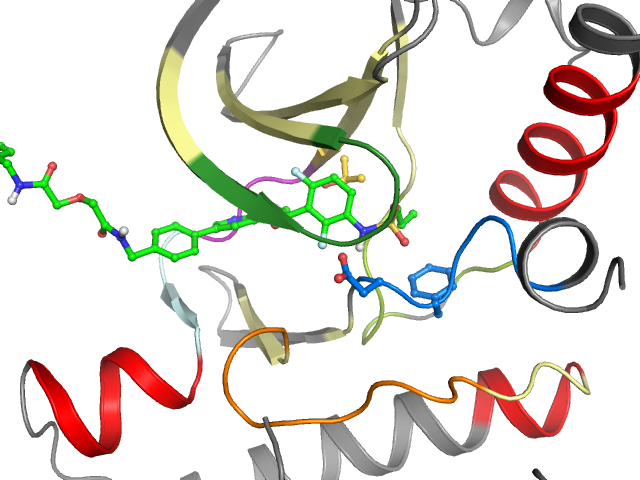 The orthosteric binding pocket