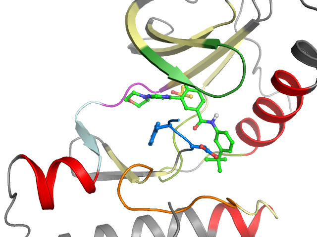 The orthosteric binding pocket