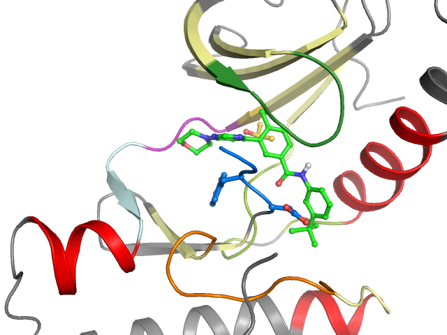 The orthosteric binding pocket