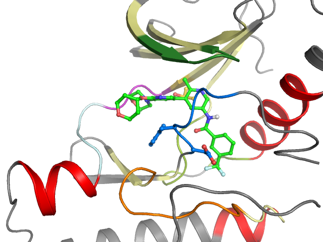 The orthosteric binding pocket