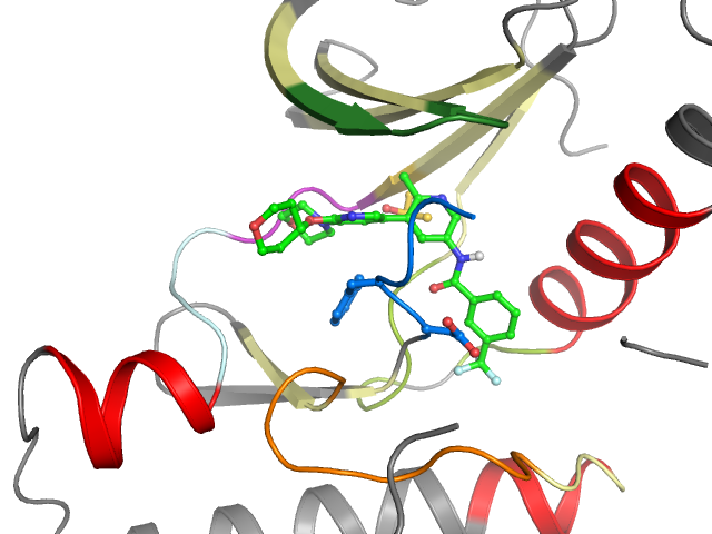The orthosteric binding pocket
