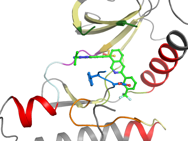 The orthosteric binding pocket