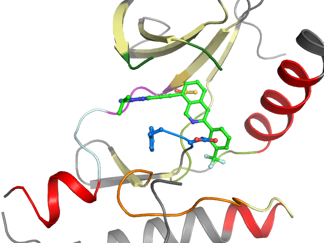 The orthosteric binding pocket