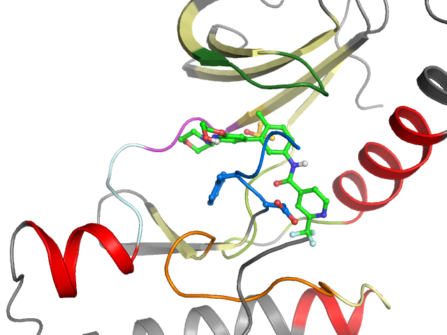 The orthosteric binding pocket