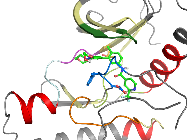 The orthosteric binding pocket