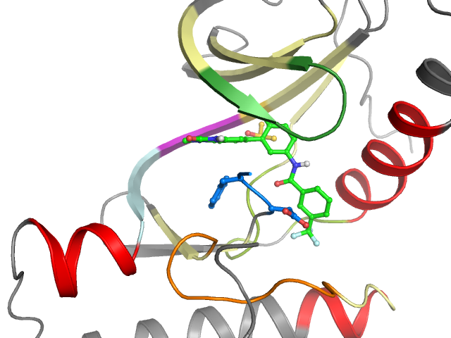 The orthosteric binding pocket