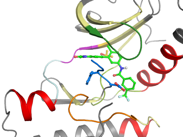 The orthosteric binding pocket