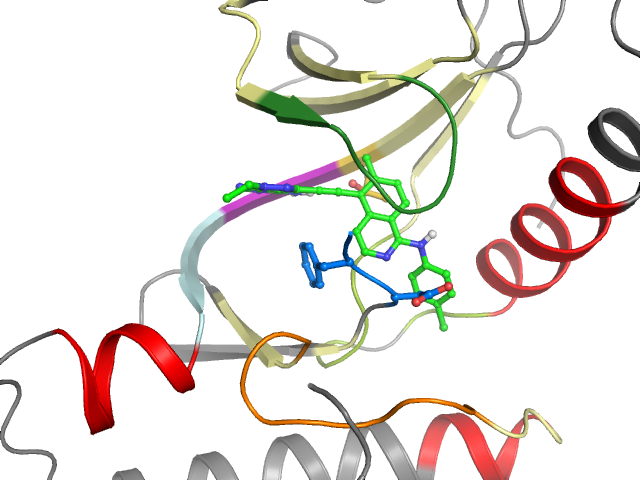 The orthosteric binding pocket
