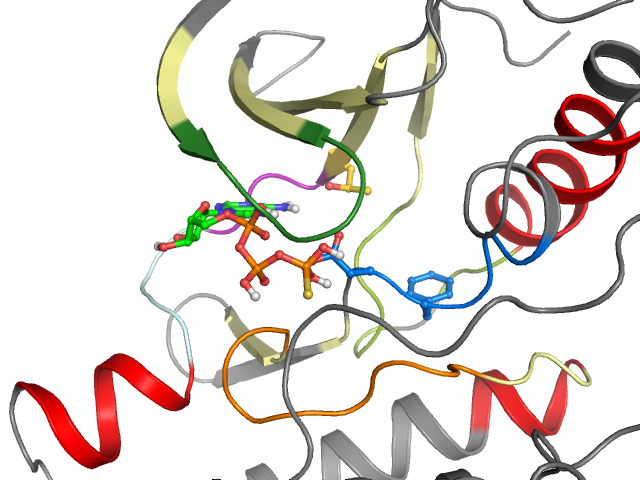 The orthosteric binding pocket