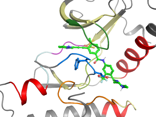 The orthosteric binding pocket