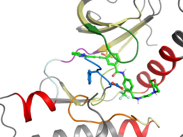 The orthosteric binding pocket