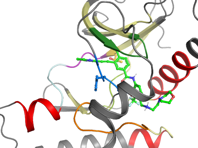 The orthosteric binding pocket