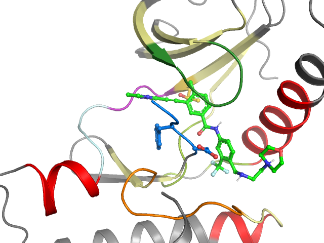 The orthosteric binding pocket