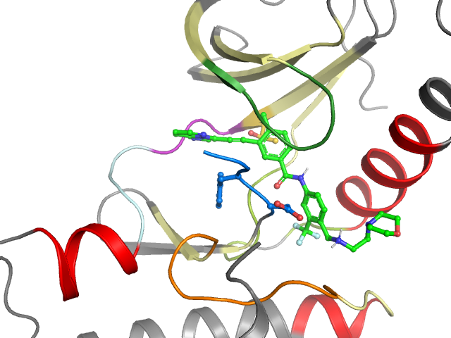 The orthosteric binding pocket