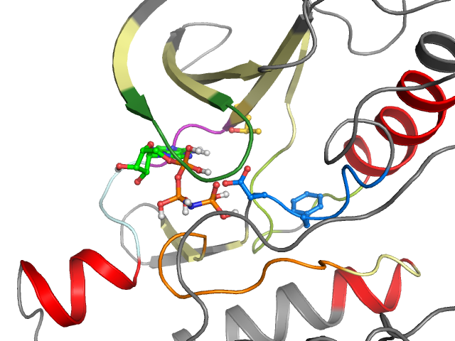 The orthosteric binding pocket