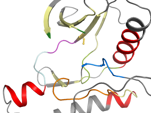 The orthosteric binding pocket