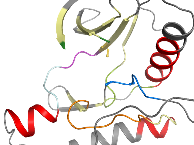 The orthosteric binding pocket