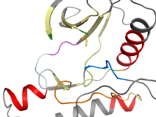 The orthosteric binding pocket