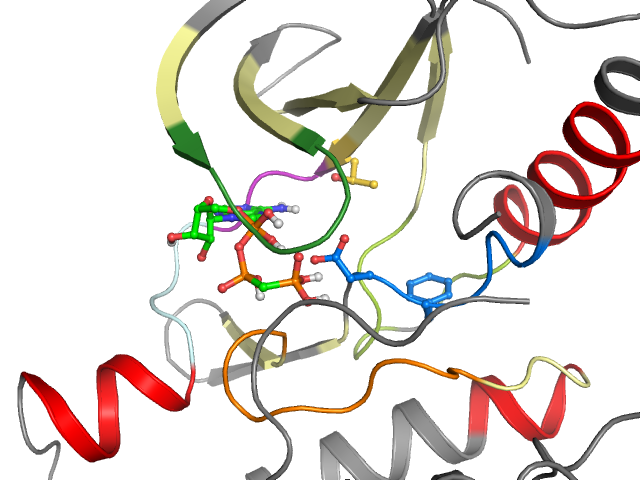 The orthosteric binding pocket