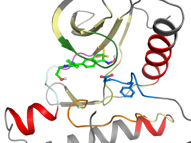 The orthosteric binding pocket