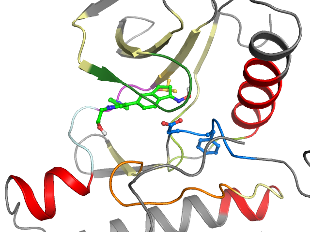 The orthosteric binding pocket