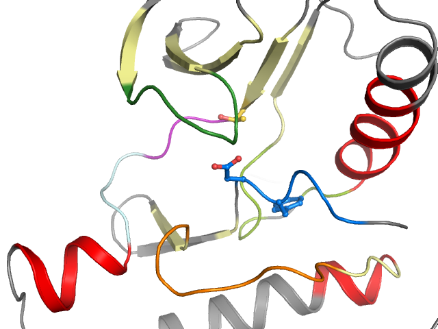 The orthosteric binding pocket