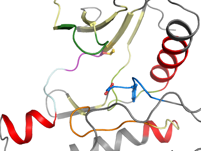 The orthosteric binding pocket