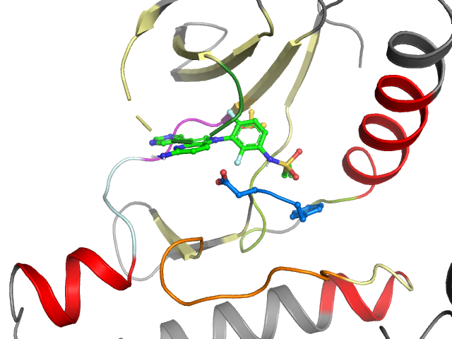 The orthosteric binding pocket