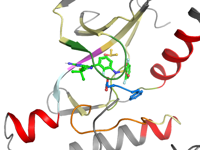 The orthosteric binding pocket