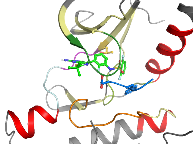 The orthosteric binding pocket