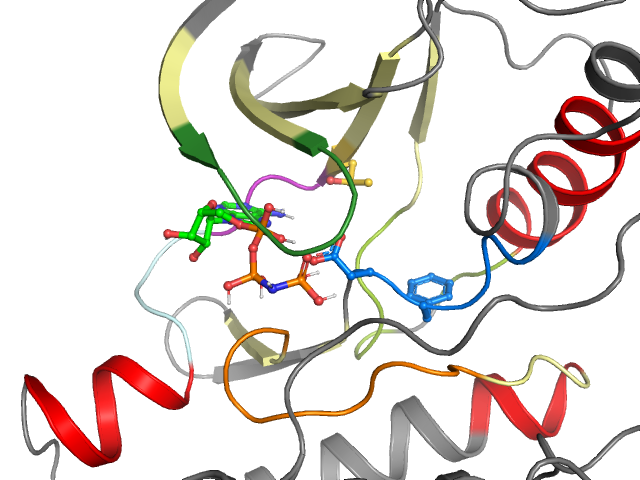 The orthosteric binding pocket