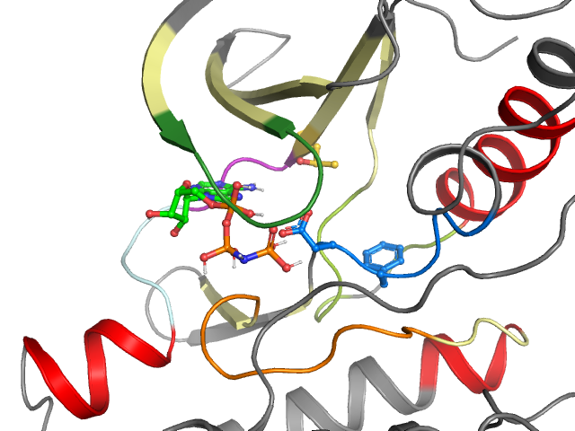 The orthosteric binding pocket