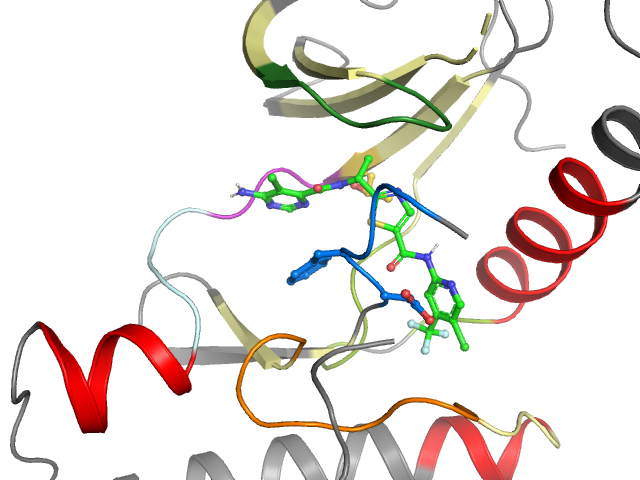 The orthosteric binding pocket