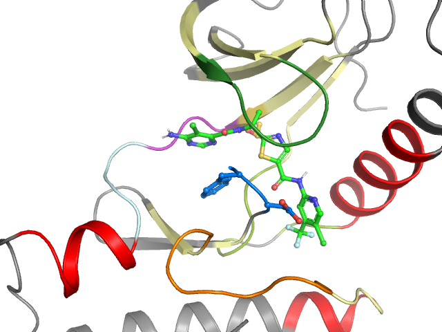 The orthosteric binding pocket