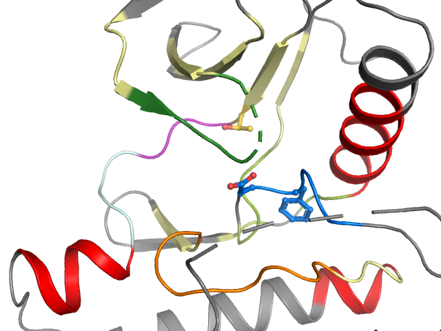 The orthosteric binding pocket